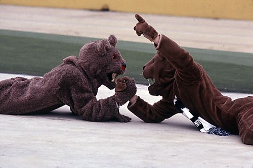 Pitt Panther vs. Penn State Nittany Lion
