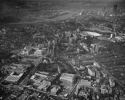 Oakland Aerial Viewpoint