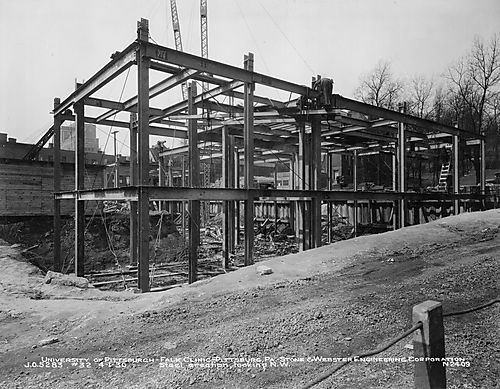 Construction of the Falk Clinic