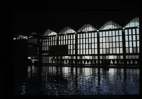 Trees Hall Swimming Pool