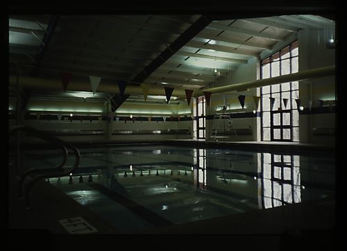 Zamias Aquatic Center Swimming Pool