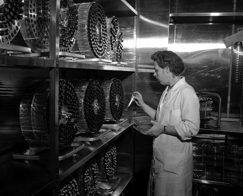 Elsie Ward